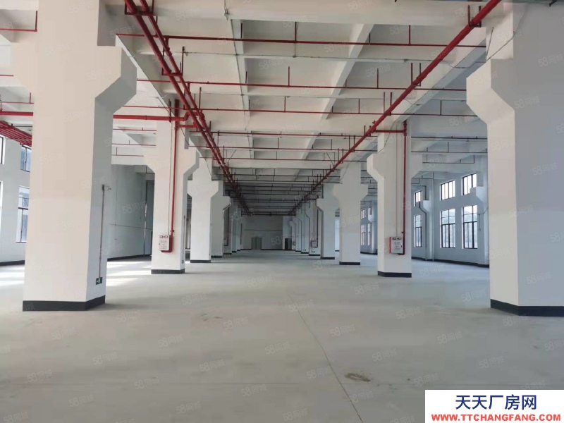 (出租) 東莞塘廈科苑城一手房東獨棟15000平單層3000平廠房倉庫出租