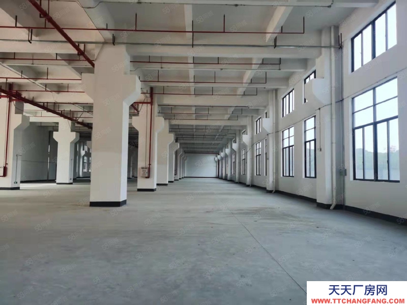 (出租) 東莞塘廈科苑城一手房東獨棟15000平單層3000平廠房倉庫出租