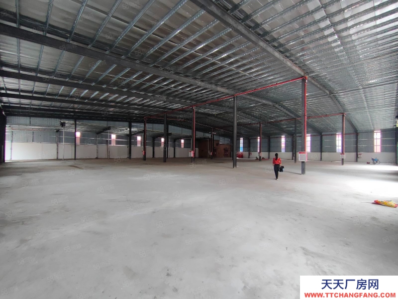 (出租) 東莞寮步全新3000平米單一層鋼構廠房出租，高7米，工業用地可辦環評