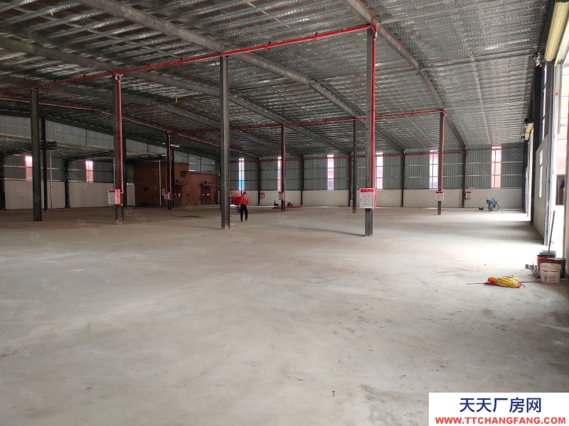 (出租) 東莞寮步全新3000平米單一層鋼構廠房出租，高7米，工業用地可辦環評