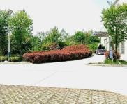 (出租) 襄陽襄城我們自己私人公司的廠房