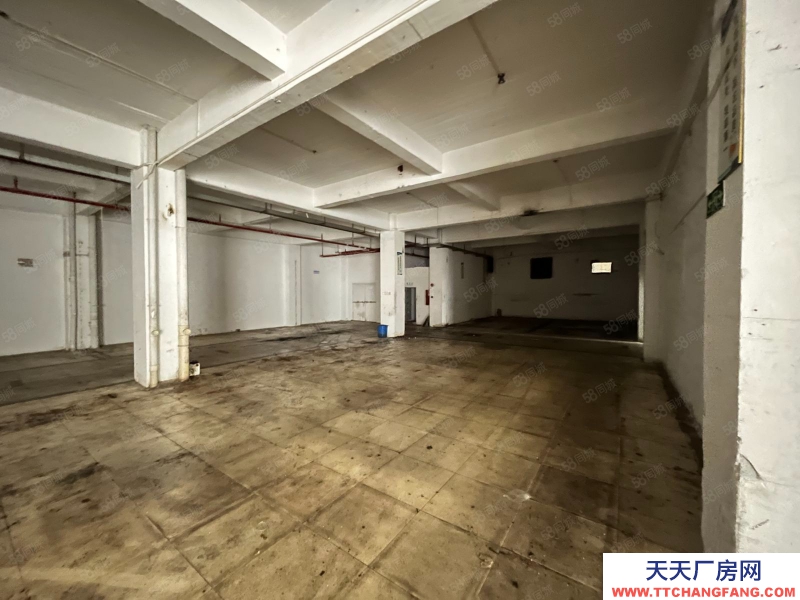 (出租) 東莞厚街白濠振華街一樓廠房1000平