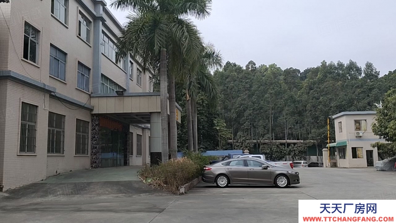 (出租) 東莞寮步 井巷 原房東 獨院廠房 3000平方,九成新