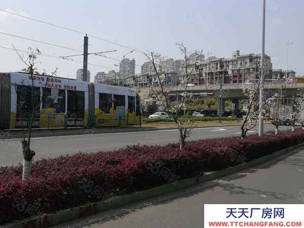 蘇州市吳中區國土雙證！1000~6000平米！花園式廠房！