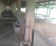 (出租) 襄陽襄城區出租養殖場送10畝大魚塘