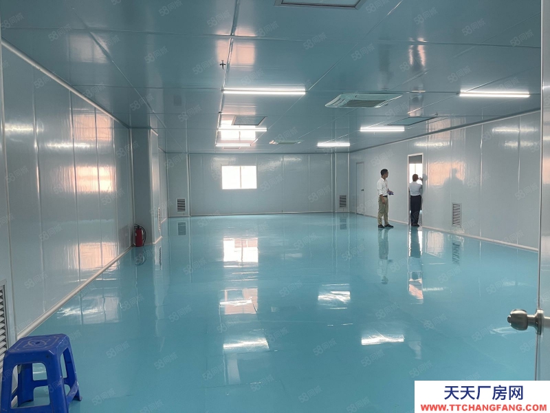 (出租) 東莞虎門原房東獨棟現成無塵車間1350平廠房出租 精裝修實際面積