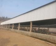 (出租) 襄陽襄城鋼結構廠房，層高7米5價優