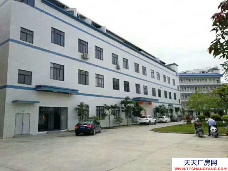 (出租) 東莞藥勒 上午新出 獨(dú)院廠房 分租1000平,現(xiàn)成裝修形象好