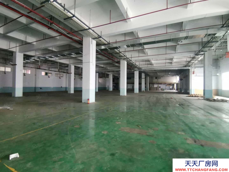 (出租) 東莞市萬江道滘及周邊鎮區標準廠房出租，獨院單一層廠房出租