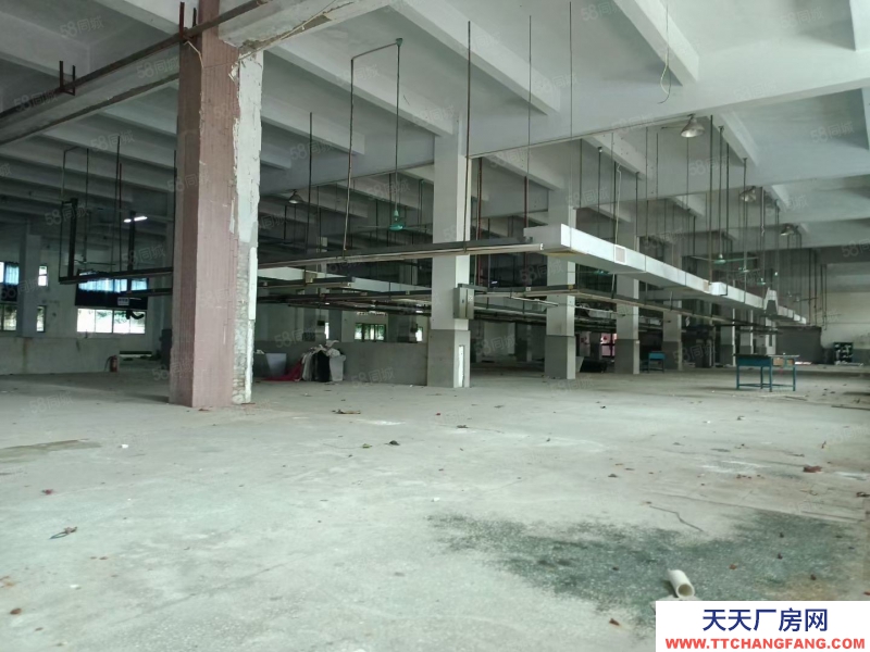 (出租) 東莞厚街花園式單一層獨院9200平方廠房出租