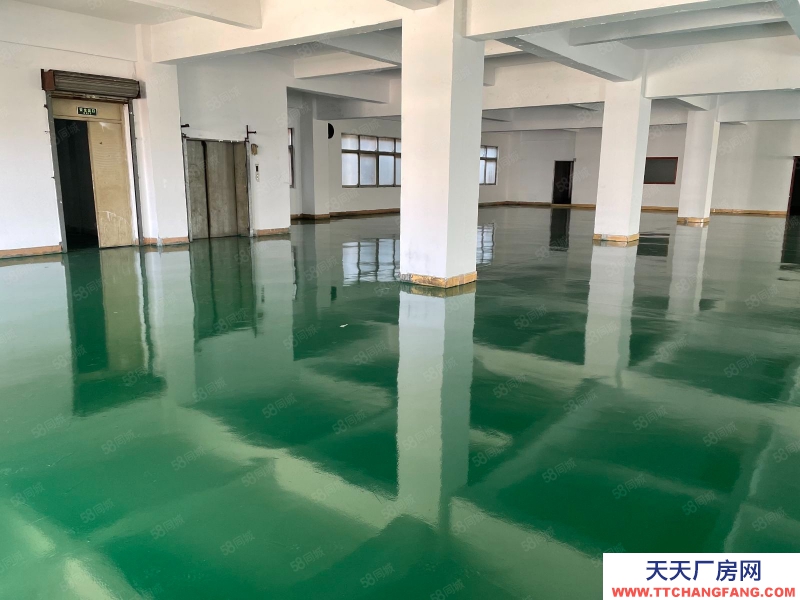 (出租) 東莞廠房出租！東城溫塘一手房東直招獨(dú)棟獨(dú)院1500平，空地大