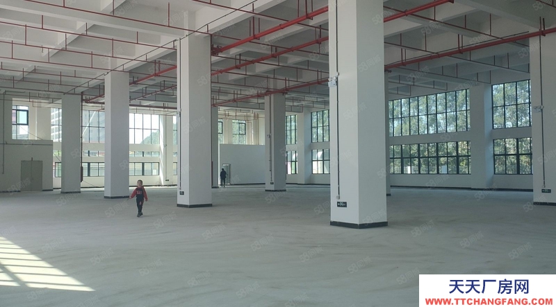 (出租) 東莞原房東房源，土塘實際面積全新廠房3000平方一層，一樓高7米