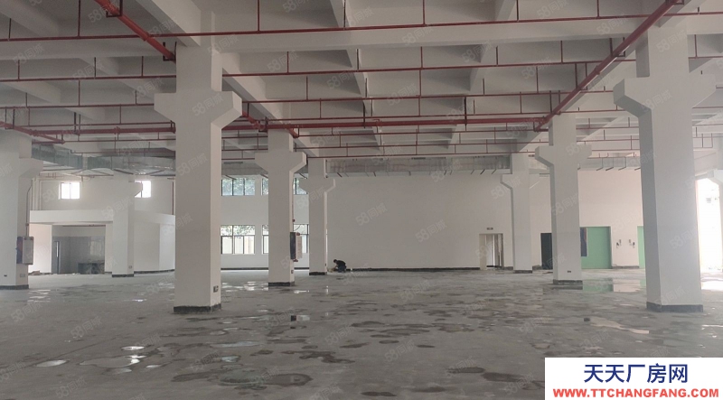 (出租) 東莞原房東房源，土塘實際面積全新廠房3000平方一層，一樓高7米