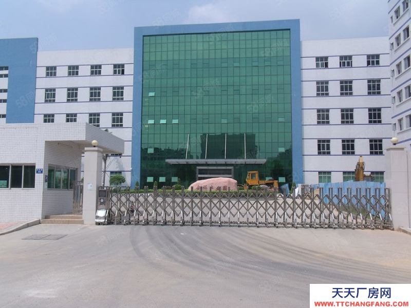 (出租)東莞 鳳崗金鳳凰新出5米高一樓1200平方出租