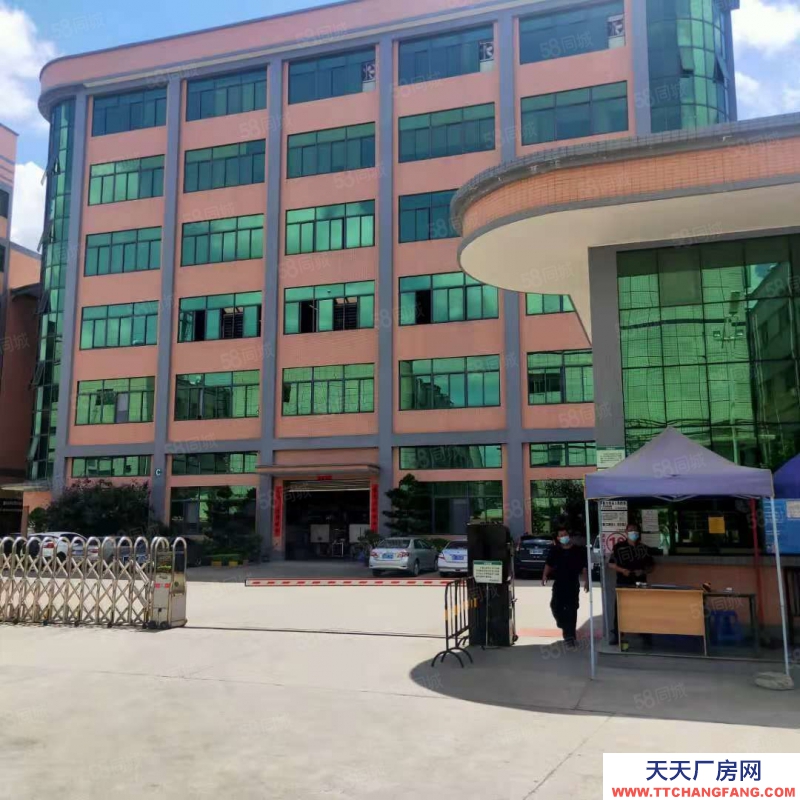 (出租) 東莞油甘鋪樓上新出三樓1600平方出租