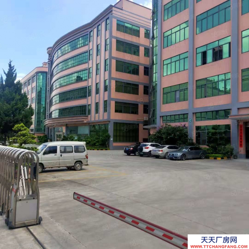 (出租) 東莞油甘鋪樓上新出三樓1600平方出租