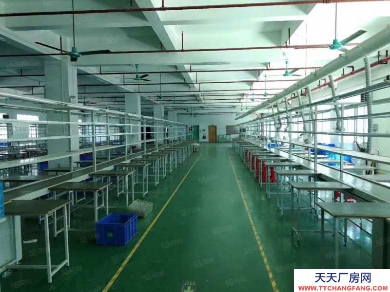 (出租) 東莞油甘鋪樓上新出三樓1600平方出租