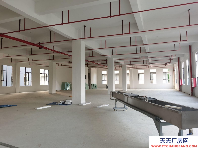 (出租) 蕪湖市繁昌區標準工業廠房 全新廠房 廠房出租 可分租