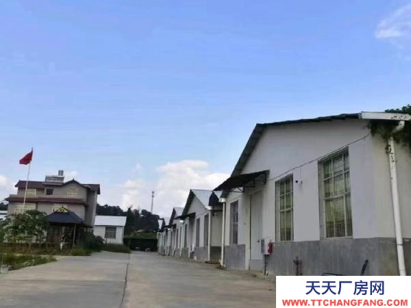 (出租) 自家茶廠，有分篩，發酵，倉庫