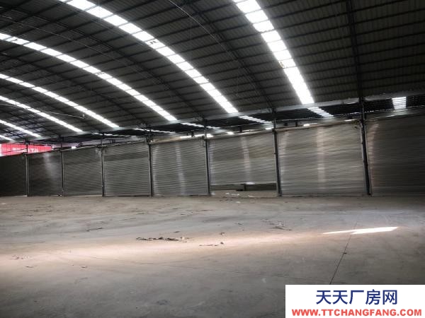 (出租) 自家茶廠，有分篩，發酵，倉庫