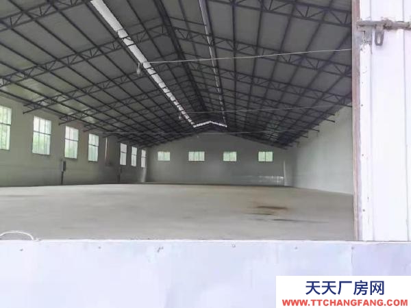 (出租) 自家茶廠，有分篩，發酵，倉庫