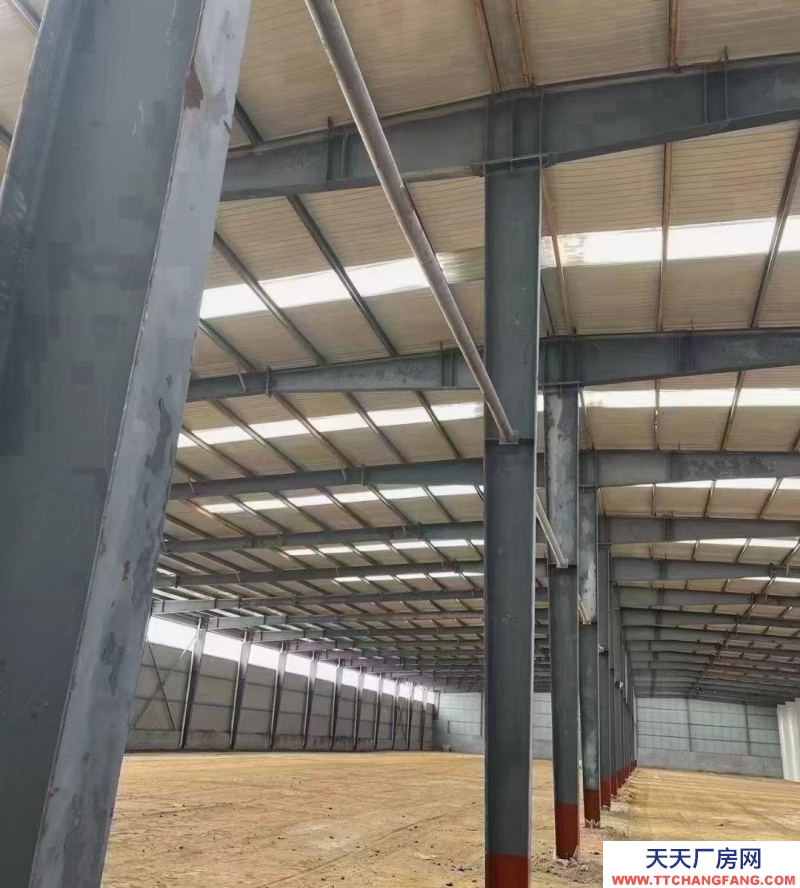 (出租) 蚌埠蚌山標準化鋼結構廠房獨立的水泥路面