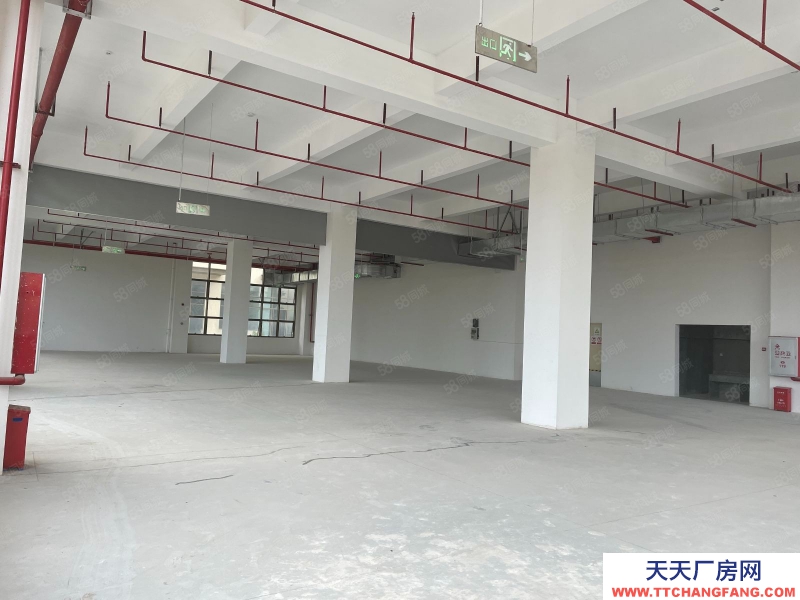 (出租)東莞 鳳崗金鳳凰廠房低價出租，可拎包入駐生產，二樓1000平方分租