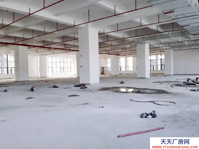 (出租) 東莞鳳崗1500平米全新廠房出租）一樓高度7米樓上高度5.3米