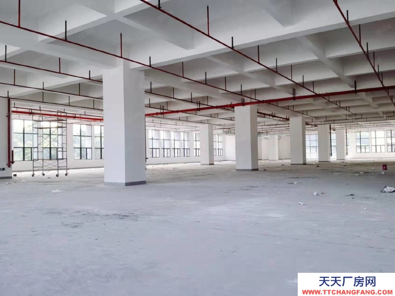 (出租) 東莞鳳崗1500平米全新廠房出租）一樓高度7米樓上高度5.3米