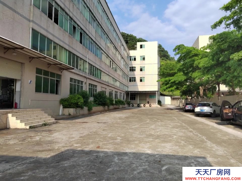 (出租) 東莞合同8年原房東紅本廠房出租，清溪獨院一樓7米實際面積出租！