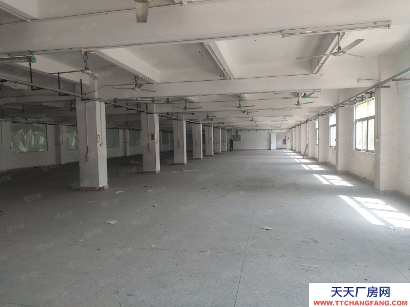 (出租) 東莞五聯廠房低價出租，可辦環評，一樓1350平方分租