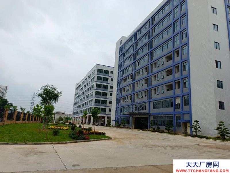 (出租) 東莞鳳崗天堂圍驚現標準一樓2000平帶消防噴淋，原房東直租可分租