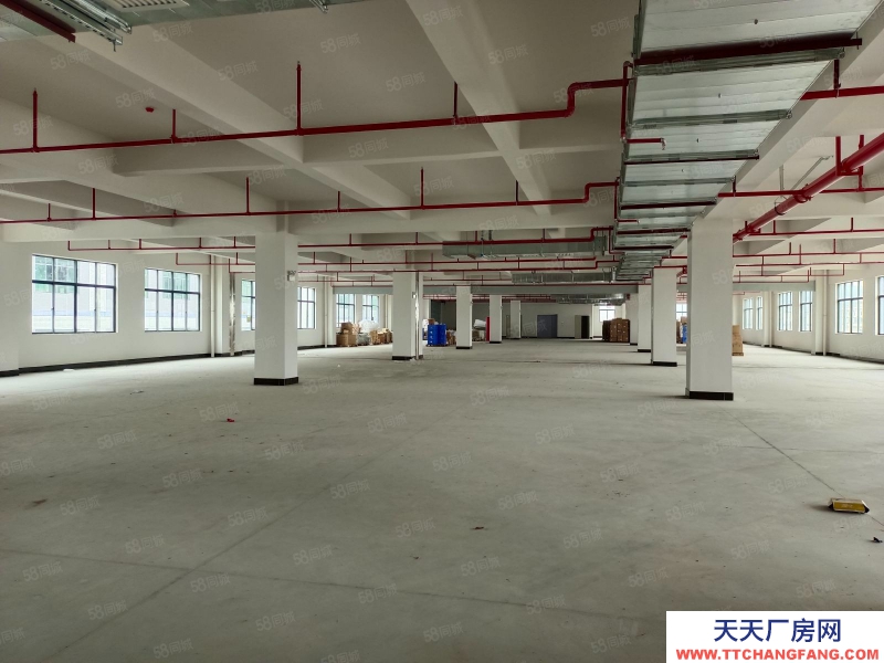 (出租) 東莞鳳崗天堂圍驚現標準一樓2000平帶消防噴淋，原房東直租可分租