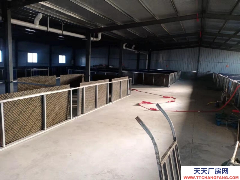 棗莊市中廠房轉讓水電齊全，交通方便，可進大小車輛，適小型加工企業