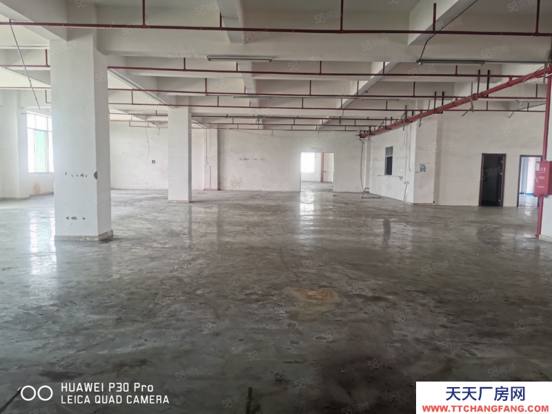(出租) 東莞鳳崗五聯(lián)園區(qū)廠房出租，高度高，一樓2300平分租