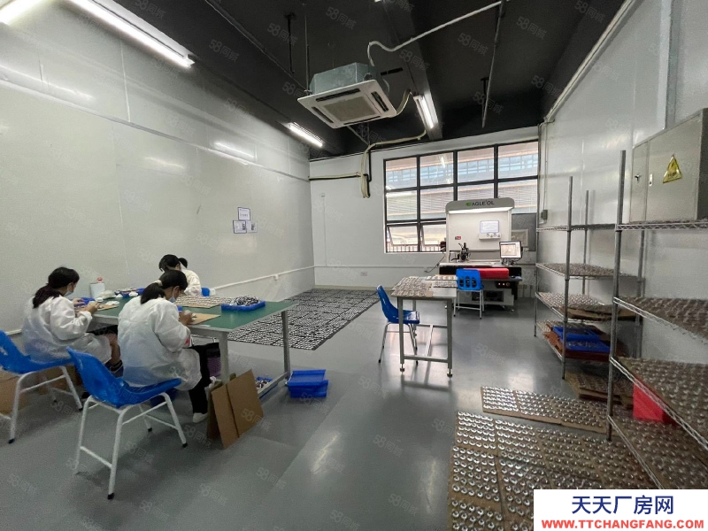 (出租) 原房東直租東莞鳳崗新出樓上2000平豪華裝修辦公室無塵車間