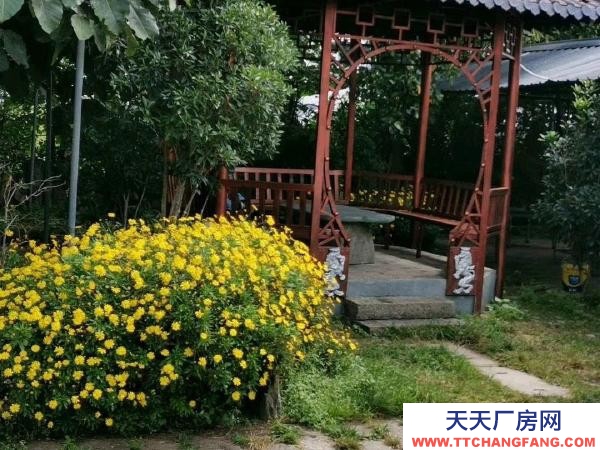 (出租) 可做廠房，倉儲，苗圃，農家樂，露天籃球或足球教學場地