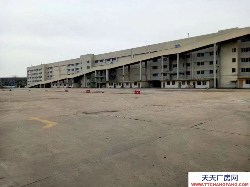 (出租) 東莞麻涌超大空地卸貨平臺廠房650平可分租出租低價出租