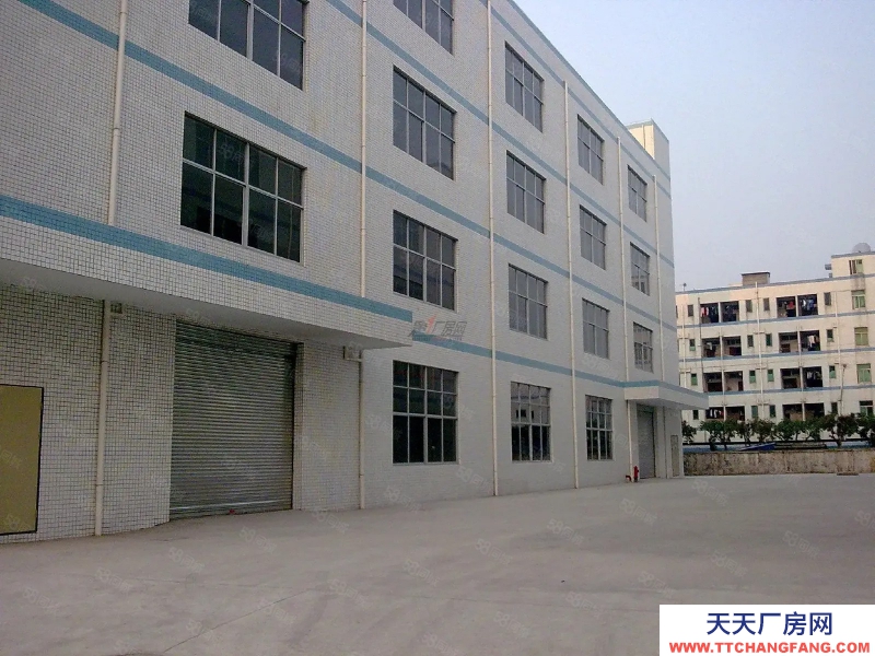 (出租) 東莞低價廠房出租1000平，有環(huán)評，低價5毛，可進掛車，交通好