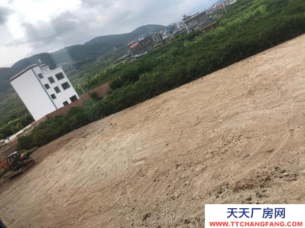 (出租) 214國道旁，荷花村加油站，交通相當便利