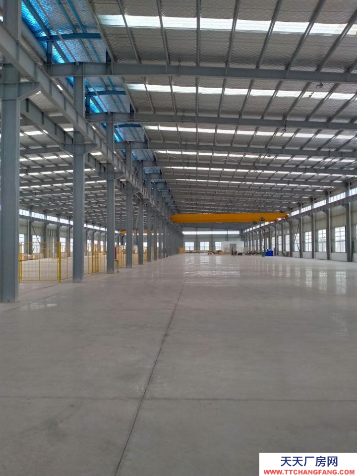 (出租) 蚌埠禹會光彩大市場標準化鋼構廠房