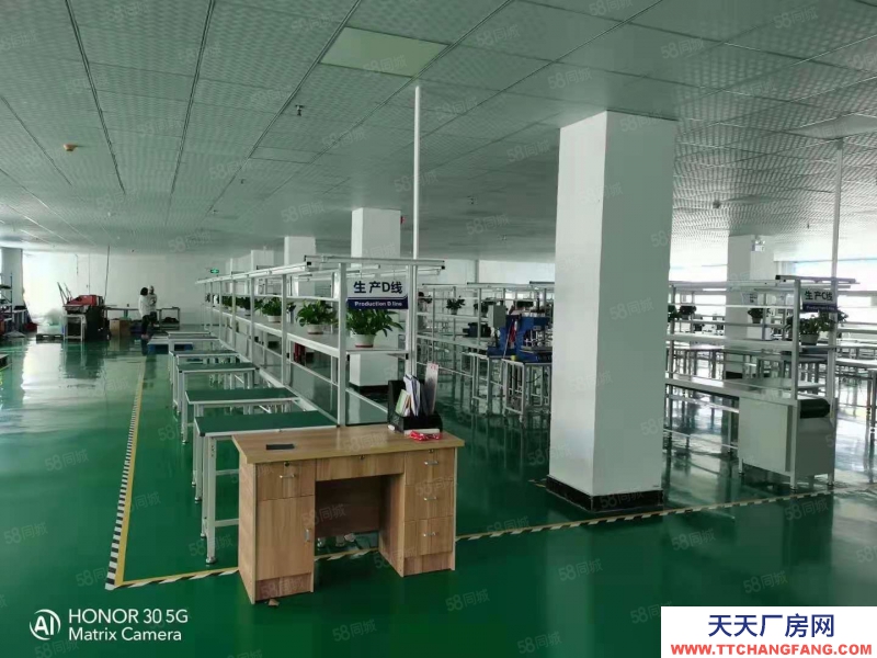 (出租) 東莞大朗原房東工業區獨棟標準廠房豪裝6800平不分租