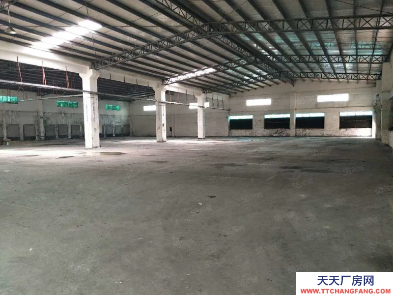 (出租) 東莞東坑 8米高 鋼構(gòu) 廠房出租1500平方,九成新，獨(dú)院