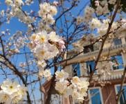 (出售) 襄陽南漳高品質(zhì)生態(tài)住房回歸自然生活