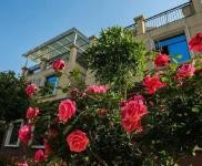 (出售) 襄陽南漳高品質(zhì)生態(tài)住房回歸自然生活