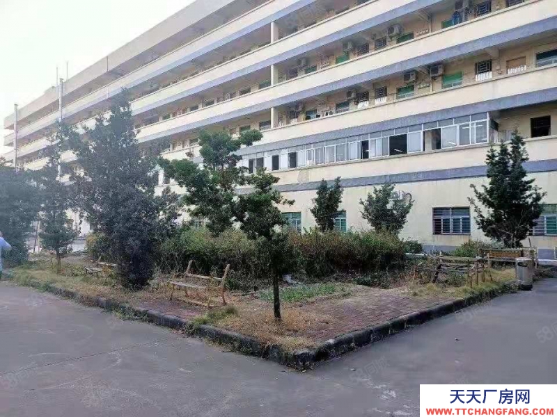 (出租) 東莞道窖新出花園式獨(dú)門(mén)獨(dú)院6800平 滴水11米 帶行車超大空地