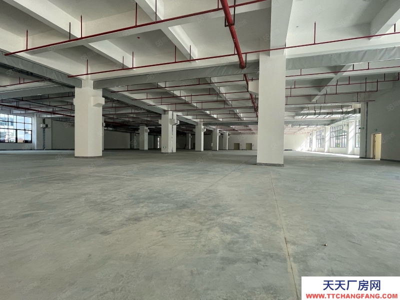 (出租) 東莞松山湖工業(yè)區(qū)紅本原房東全新重工業(yè)廠房出租35000平方可分租