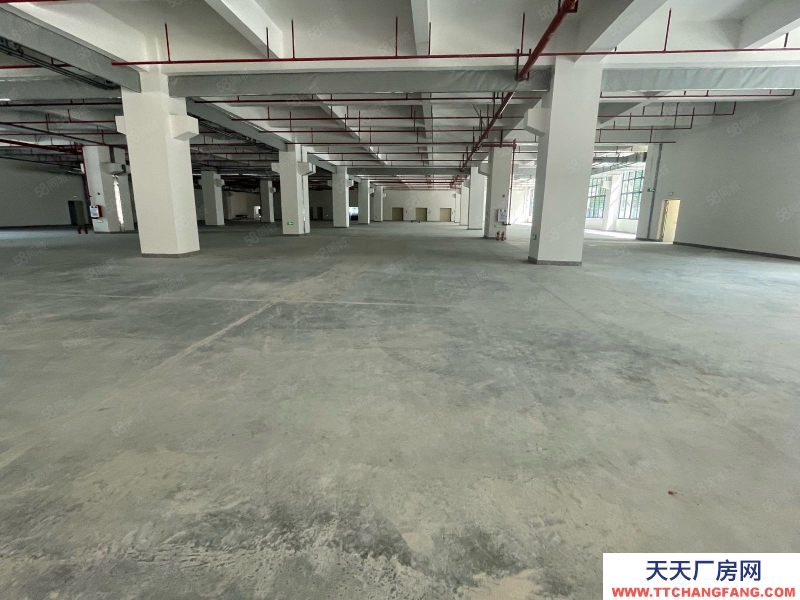 (出租) 東莞松山湖工業(yè)區(qū)紅本原房東全新重工業(yè)廠房出租35000平方可分租