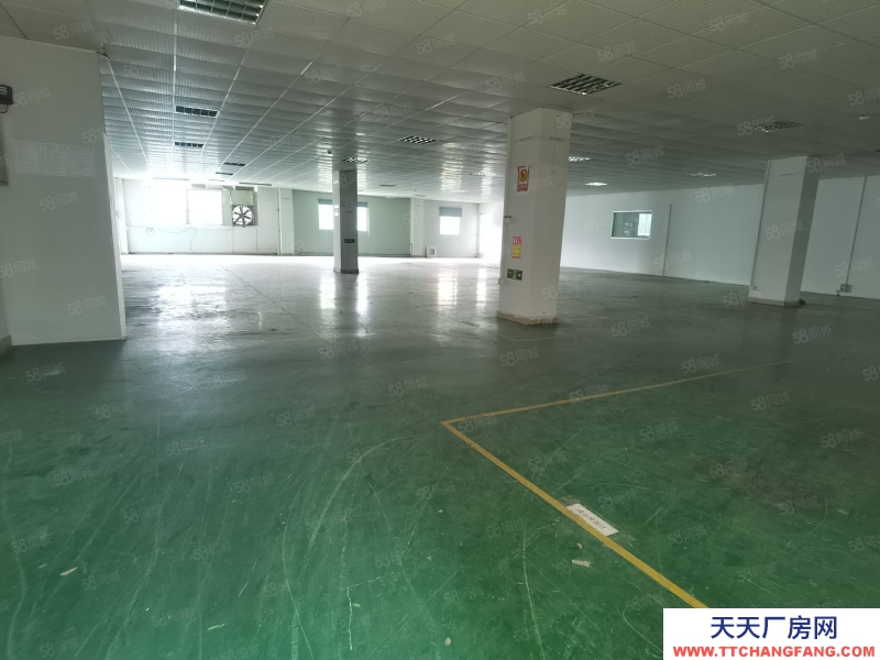 (出租) 東莞獨立廠房520平，860平，1700平等各種規格，形象高大上