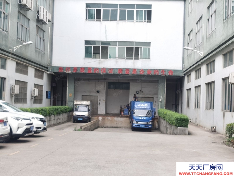 (出租) 東莞獨立廠房520平，860平，1700平等各種規格，形象高大上